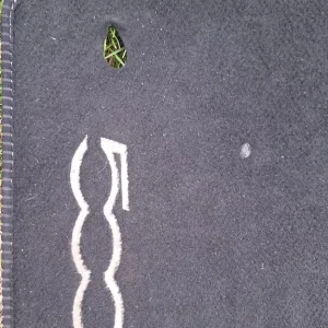 Fiat 500 car mats - Image 2