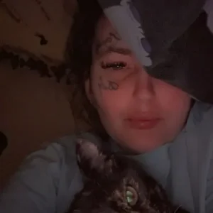 Kitten - Image 2