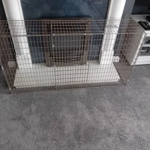 Fire Guard Surround