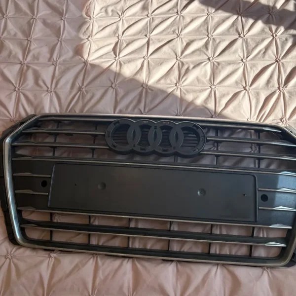 Audi grill