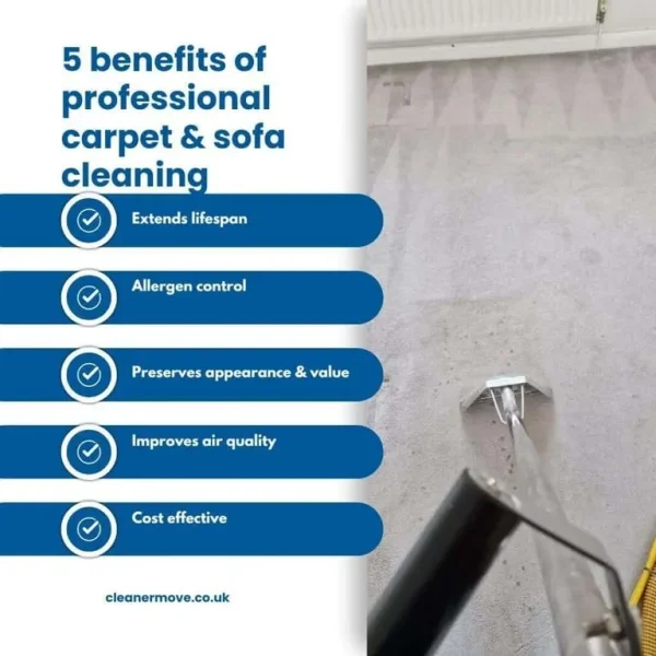 Carpet cleaner