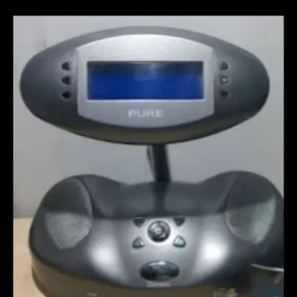 Pure Bug radio