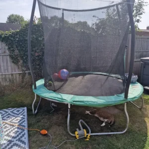 8ft Trampoline - Image 2