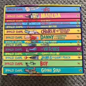 Roald Dahl 15 book collection