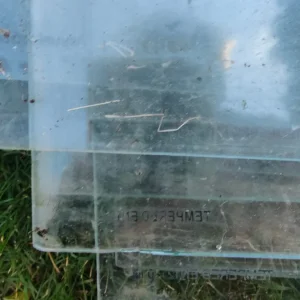 3mm Tempered Glass for Greenhouse - Image 3