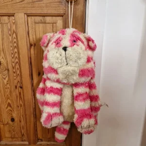 Bagpuss hot water bottle