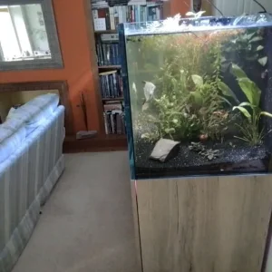 Tropical fish tank - Image 3