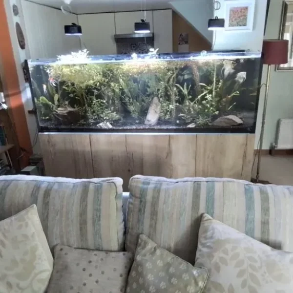 Tropical fish tank