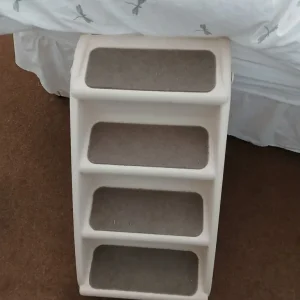 Dog steps - Image 2