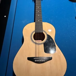 Guitar with case