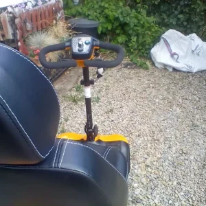 Rascal VISTA Dx
