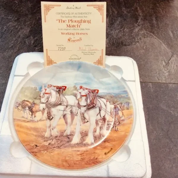 Picture Plates