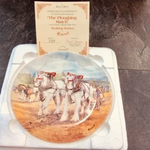 Picture Plates