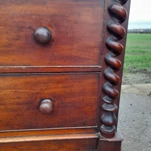 Vintage mahogany Scotch Chest - Image 8