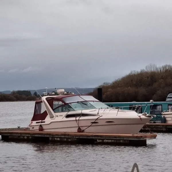 Sea ray 300