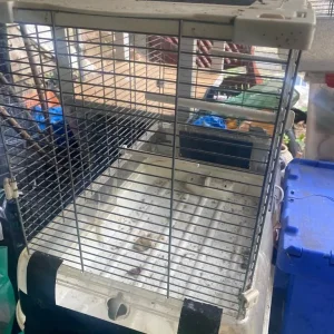Bird cage - Image 2