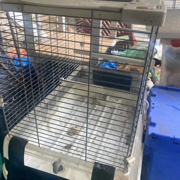Bird cage