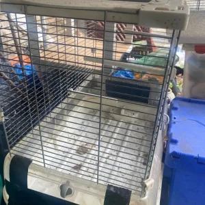 Bird cage