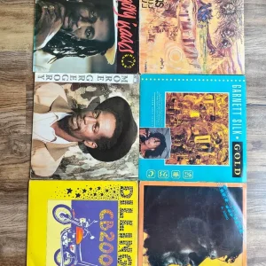 Job lot of random reggae LPs
