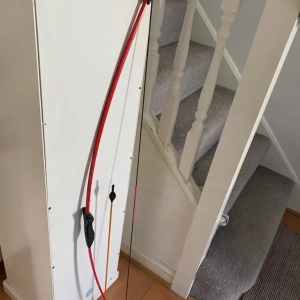 Bow and arrow (discovery)