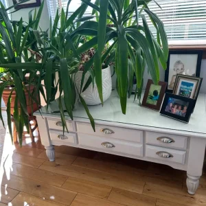 Coffee table and 2 side tables