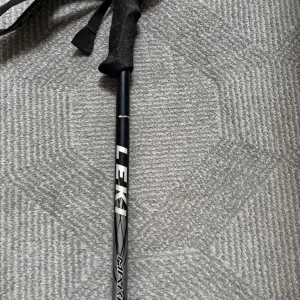 Extendable Walking Sticks - Image 3