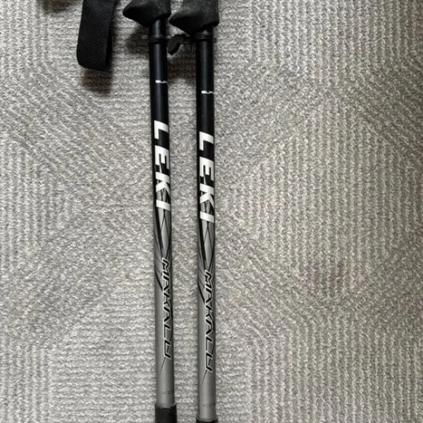 Extendable Walking Sticks