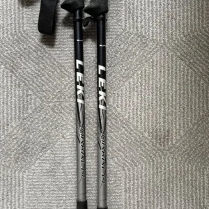 Extendable Walking Sticks