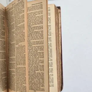 1829 Antique Georgian English King James Bible with Old & New Testaments - Image 7