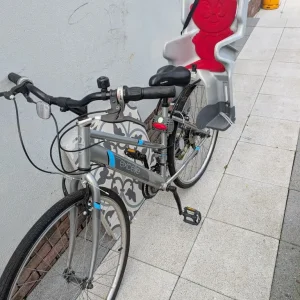 Adult bicycle with kids seat