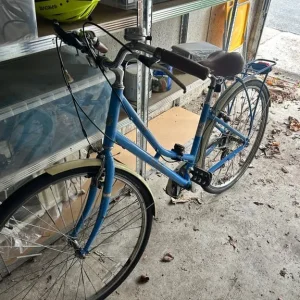 Pendleton vintage style bike - Image 2