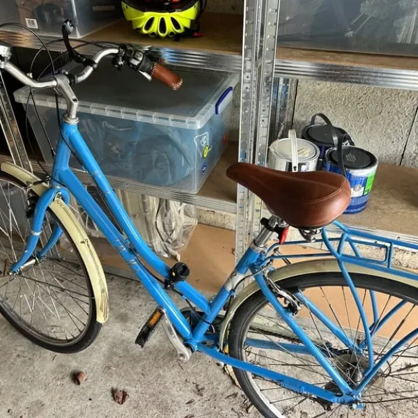 Pendleton vintage style bike