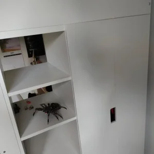 IKEA Stuva Loft Bed with Desk - Image 3
