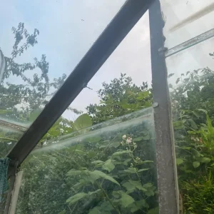 Green house - Image 2