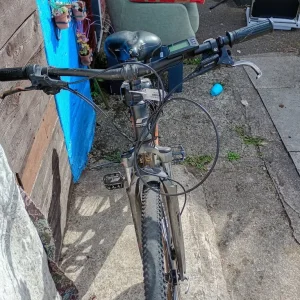 Carrera Vendetter electric bike
