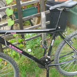 Arden Trail bike - Image 2