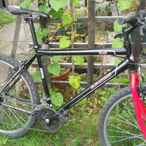 Arden Trail bike