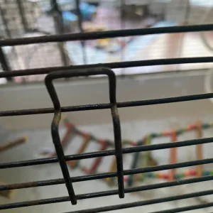 Small rat cage - Image 3