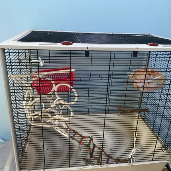 Small rat cage
