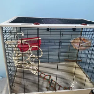 Small rat cage