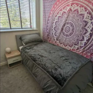 Bright and clean single room to rent - Image 3