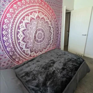 Bright and clean single room to rent - Image 4