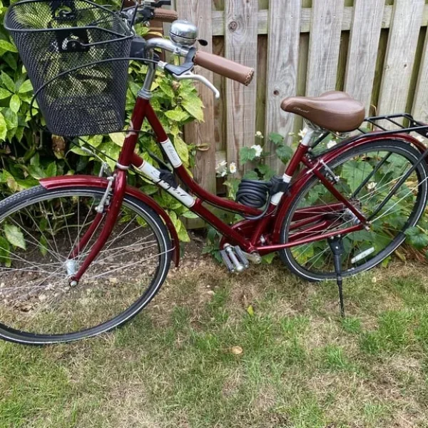 Ladies Shopper Bike