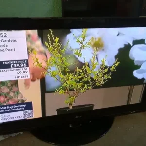 FINLUX 40" FREEVIEW TV WITH REMOTE