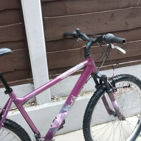 Adults mountain bike