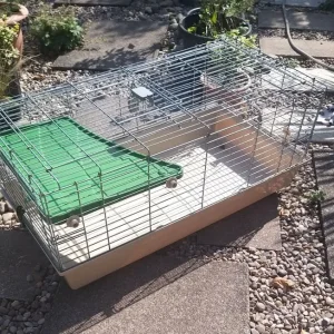 Large small animal cage 1 metre