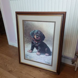 Large Wood Framed Puppy Picture by Heinrich Sperling - Image 5