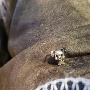 Genuine Pandora Disney charms