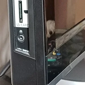 Panasonic Viera remote TV and stand - Image 4