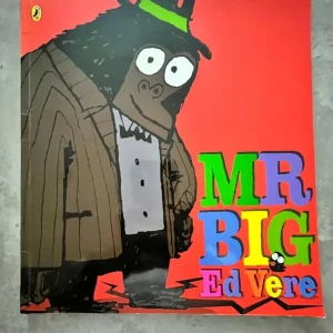 Mr Big picture book